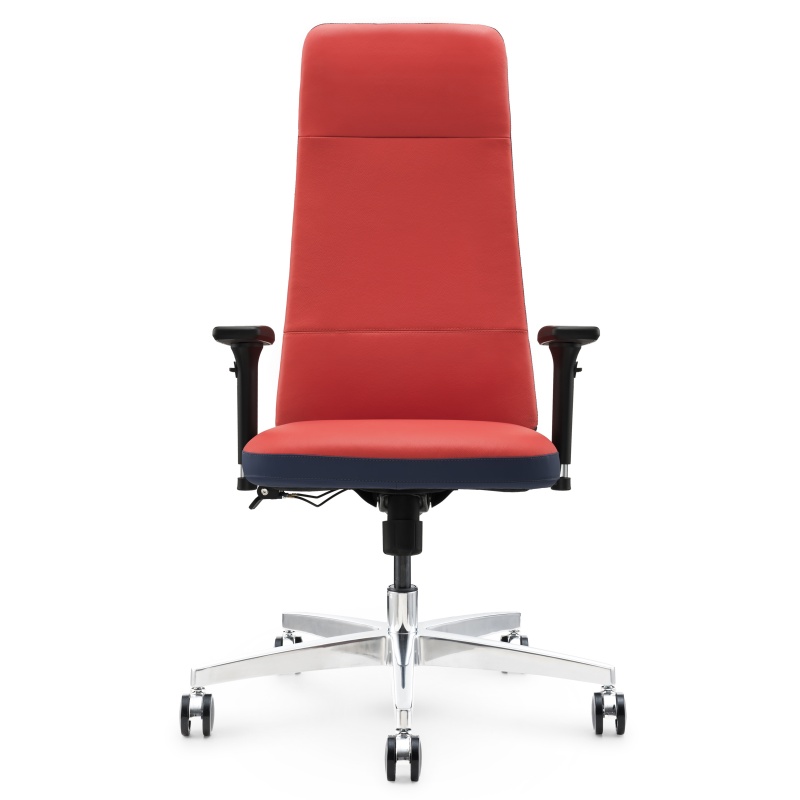 Silla de oficina ergonómica de cuero S02A - Premium Comfort & Support para uso de la oficina