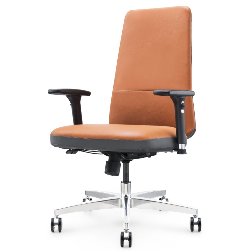 Silla de oficina de cuero ergonómico S02B - Asientos elegantes y cómodos para el trabajo o la oficina en el hogar