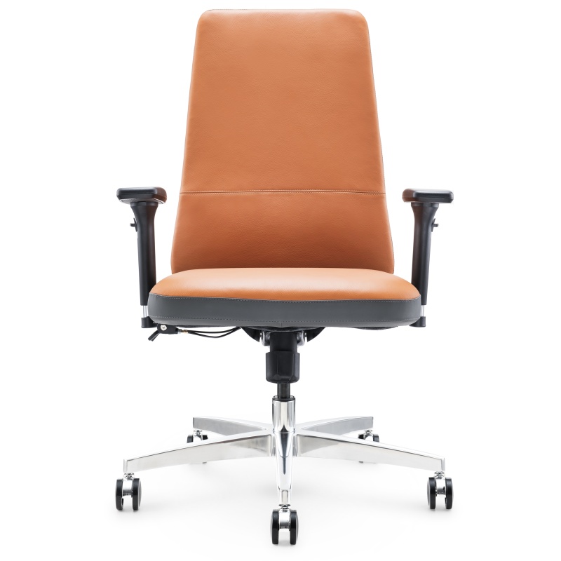 Silla de oficina de cuero ergonómico S02B - Asientos elegantes y cómodos para el trabajo o la oficina en el hogar