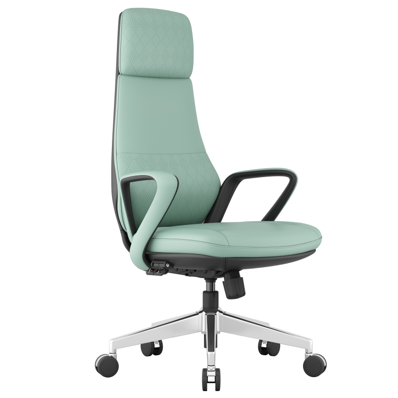 Best Ergonomic Leather Office Chair ChuanyueA for Back Pain Relief