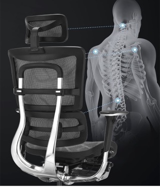 Defining Ergonomic Chairs: Science, Principles, and Types